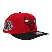 Chicago Bulls 20th Anniversary 9Fifty A-Frame Snapback Hats-Red