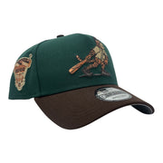 Detroit Tigers 2000  9Forty A Frame  Snapback Hats-Green/Brown