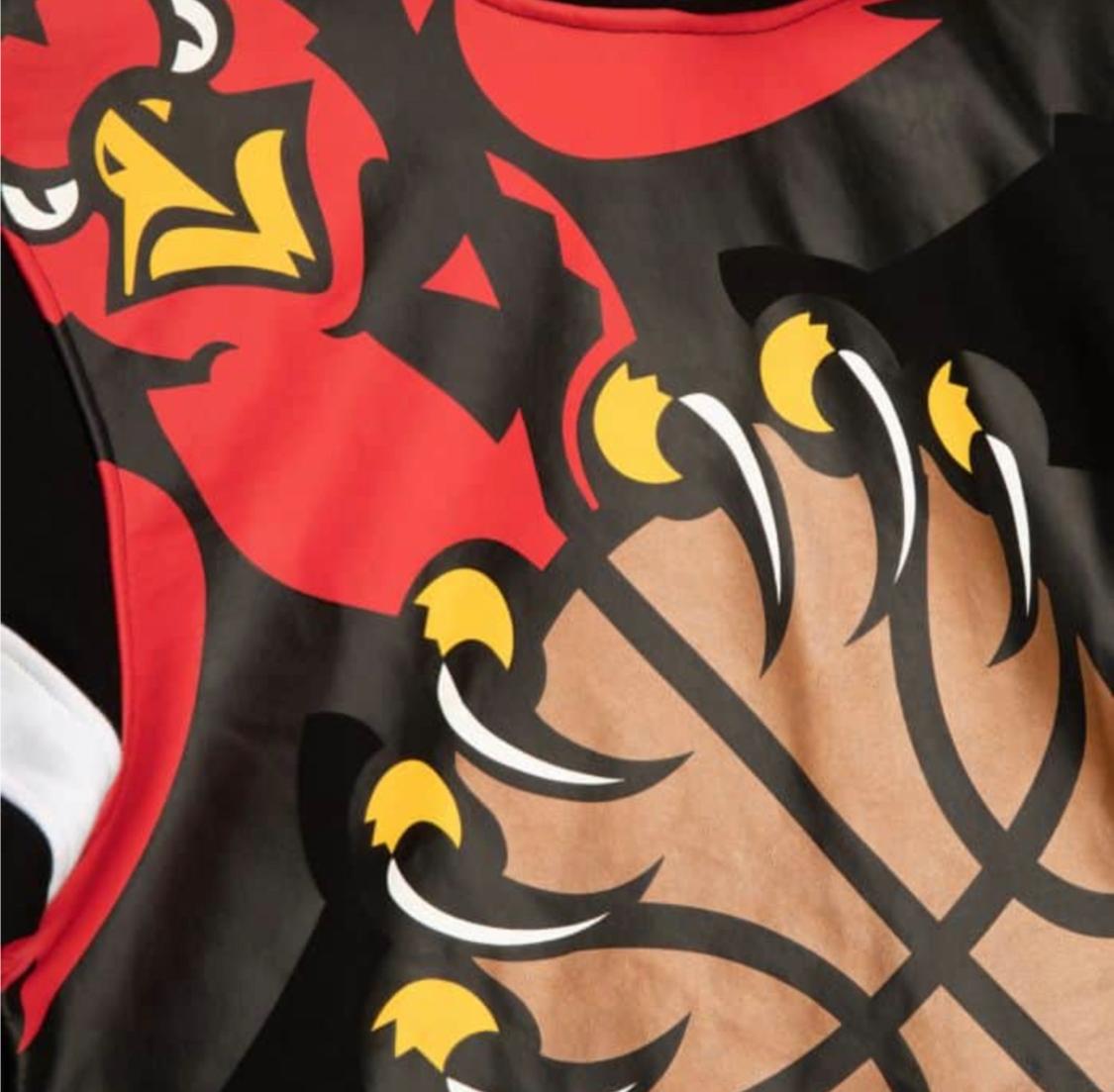 MITCHELL AND NESS BIG FACE 2.0 ATLANTA HAWKS FLEECE HOODIE