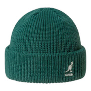 Cardinal 2-way Beanie-Pine