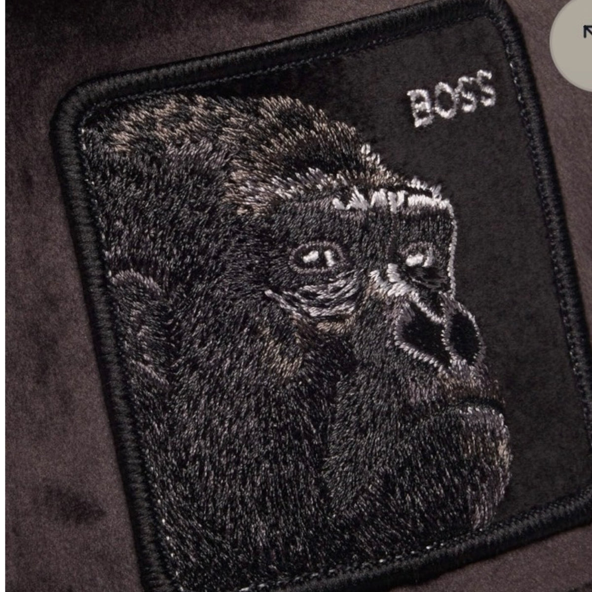 Goorin Bros Velour Boss Trucker Hat Black