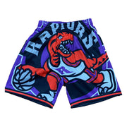 NBA BIG FACE SHORTS TORONTO RAPTORS