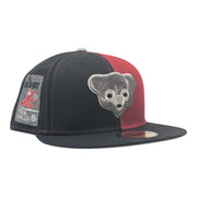 Cubs Foul Ball Hat Back